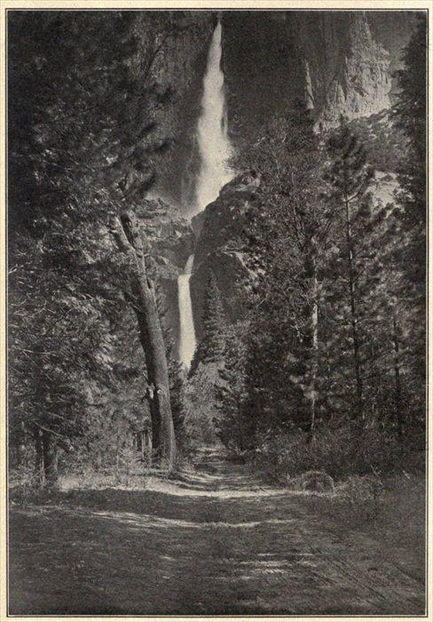 t-c-the-complete-works-of-john-muir-115.jpg