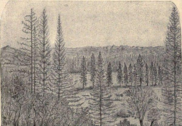 t-c-the-complete-works-of-john-muir-118.jpg