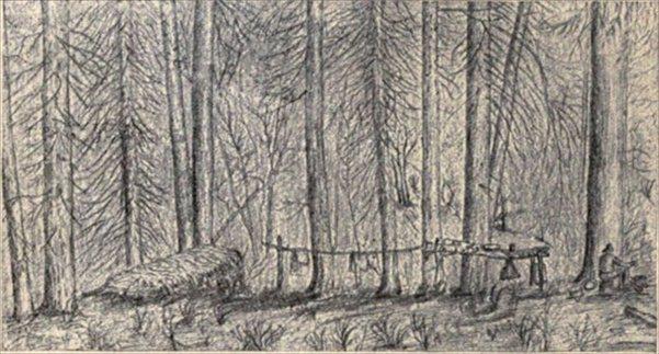 t-c-the-complete-works-of-john-muir-119.jpg