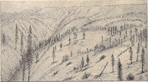 t-c-the-complete-works-of-john-muir-123.jpg