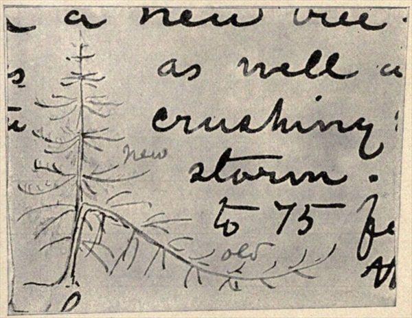 t-c-the-complete-works-of-john-muir-128.jpg