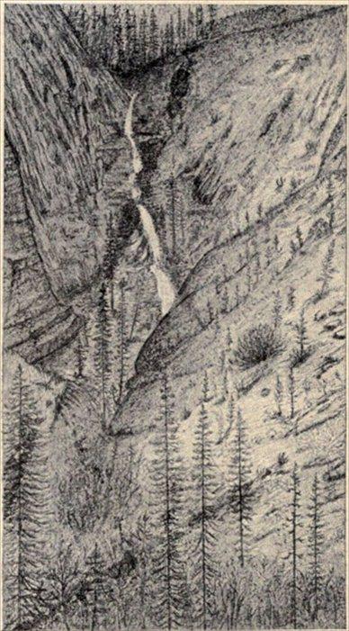 t-c-the-complete-works-of-john-muir-129.jpg