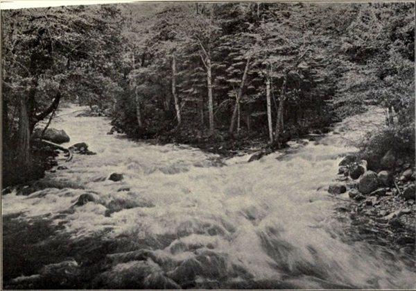 t-c-the-complete-works-of-john-muir-133.jpg