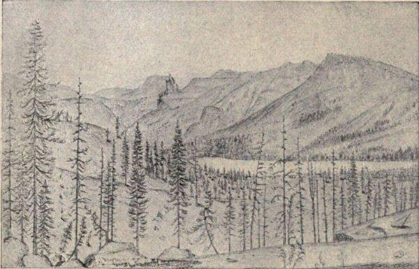 t-c-the-complete-works-of-john-muir-134.jpg