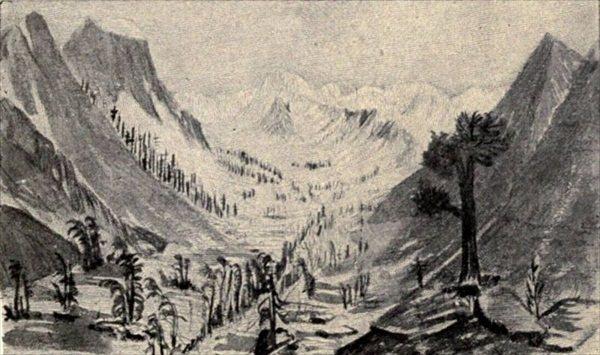 t-c-the-complete-works-of-john-muir-135.jpg