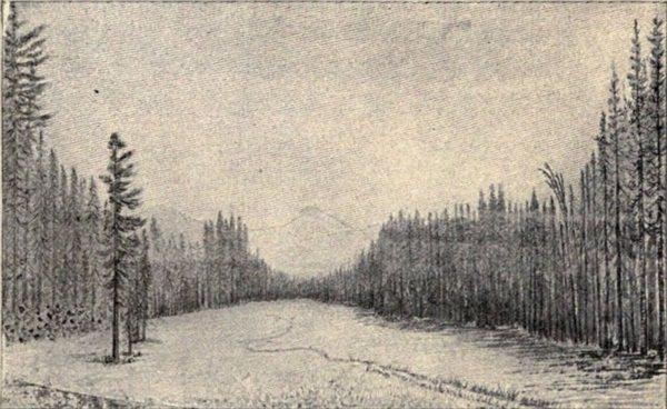 t-c-the-complete-works-of-john-muir-136.jpg