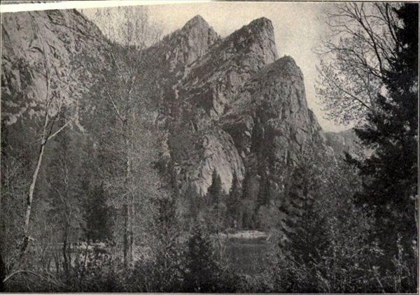 t-c-the-complete-works-of-john-muir-137.jpg