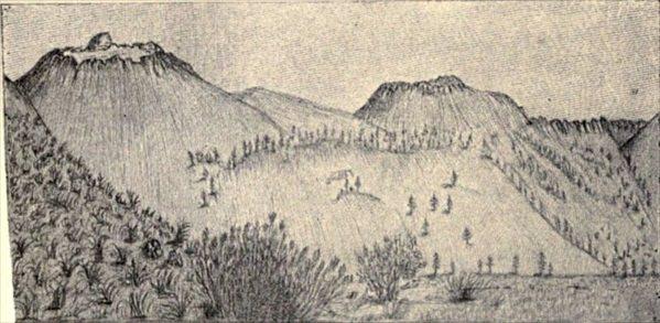 t-c-the-complete-works-of-john-muir-139.jpg