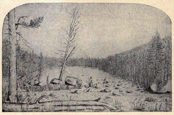 t-c-the-complete-works-of-john-muir-141.jpg