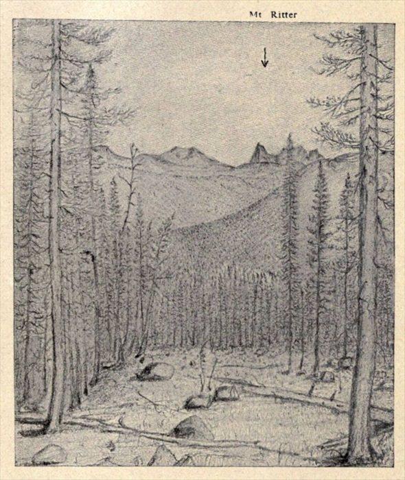 t-c-the-complete-works-of-john-muir-143.jpg