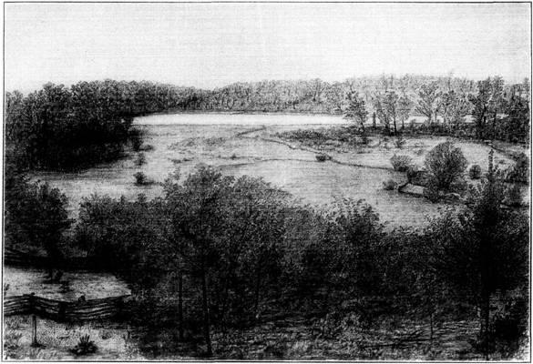 t-c-the-complete-works-of-john-muir-146.jpg