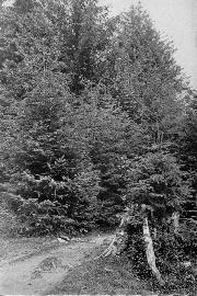 t-c-the-complete-works-of-john-muir-27.jpg