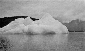 t-c-the-complete-works-of-john-muir-34.jpg