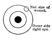 t-c-the-complete-works-of-john-muir-35.png
