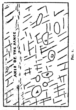 t-c-the-complete-works-of-john-muir-45.png