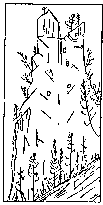 t-c-the-complete-works-of-john-muir-50.png
