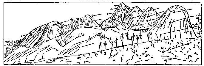 t-c-the-complete-works-of-john-muir-51.png