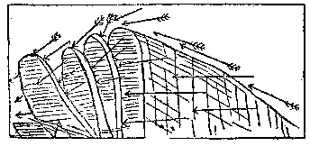 t-c-the-complete-works-of-john-muir-52.png