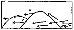 t-c-the-complete-works-of-john-muir-53.png