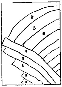 t-c-the-complete-works-of-john-muir-55.png