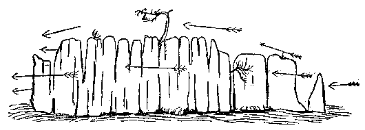 t-c-the-complete-works-of-john-muir-58.png