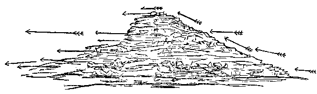 t-c-the-complete-works-of-john-muir-59.png