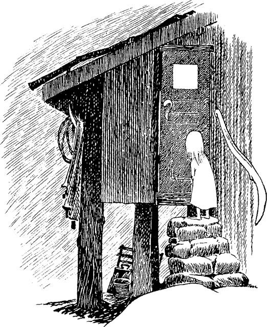 t-j-tove-jansson-the-summer-book-11.jpg