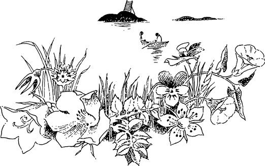 t-j-tove-jansson-the-summer-book-12.jpg