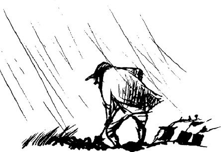 t-j-tove-jansson-the-summer-book-14.jpg
