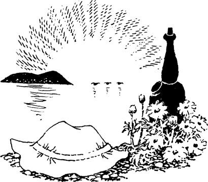 t-j-tove-jansson-the-summer-book-16.jpg