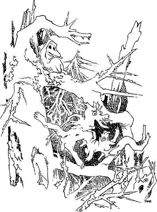 t-j-tove-jansson-the-summer-book-4.jpg