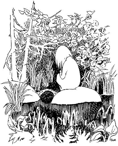 t-j-tove-jansson-the-summer-book-6.jpg