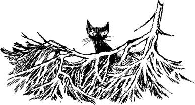 t-j-tove-jansson-the-summer-book-8.jpg