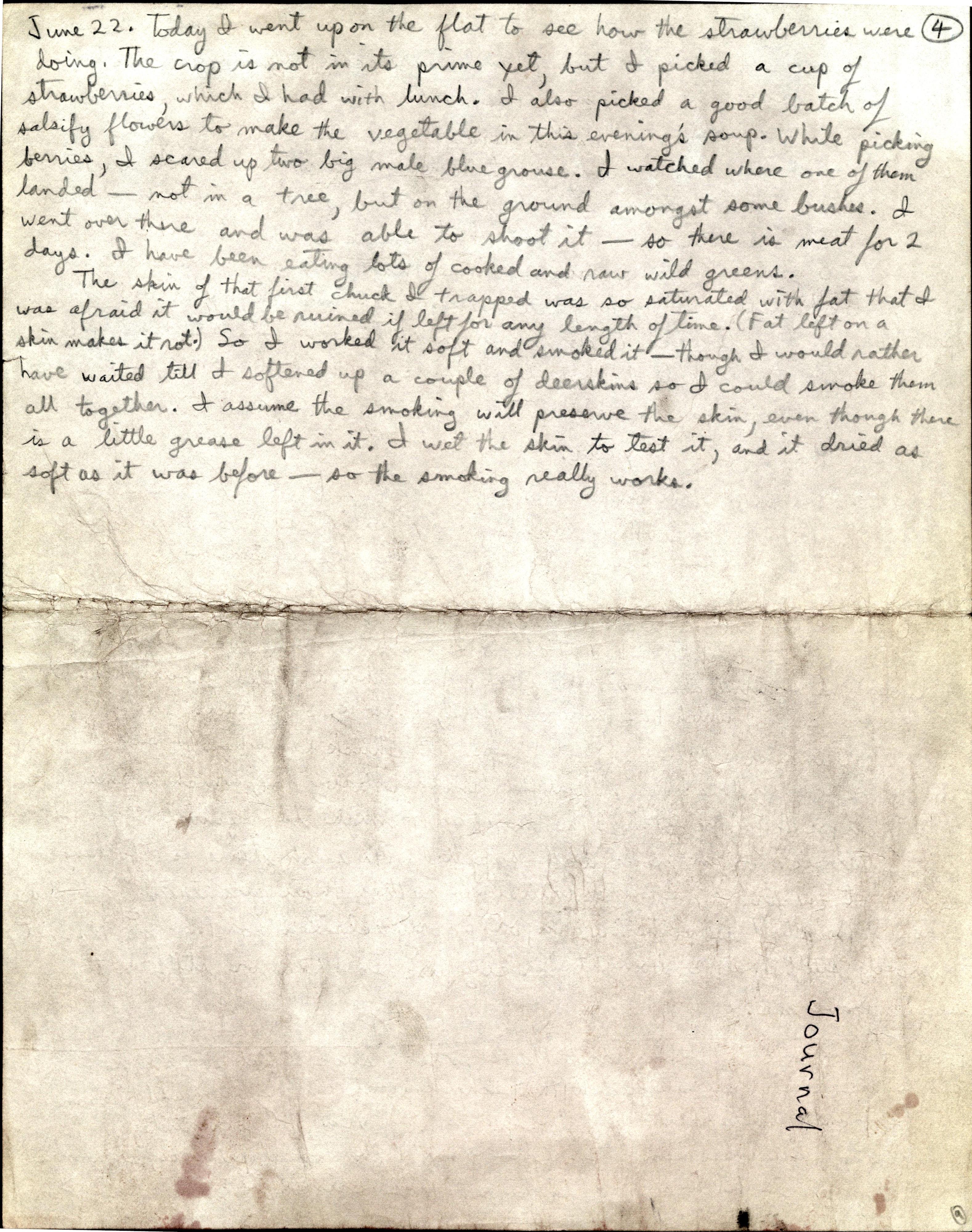 t-k-ted-kaczynski-s-journal-series-iv-1-1979-k2003-4.jpg