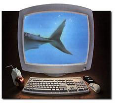 t-o-todd-oppenheimer-the-computer-delusion-1.jpg
