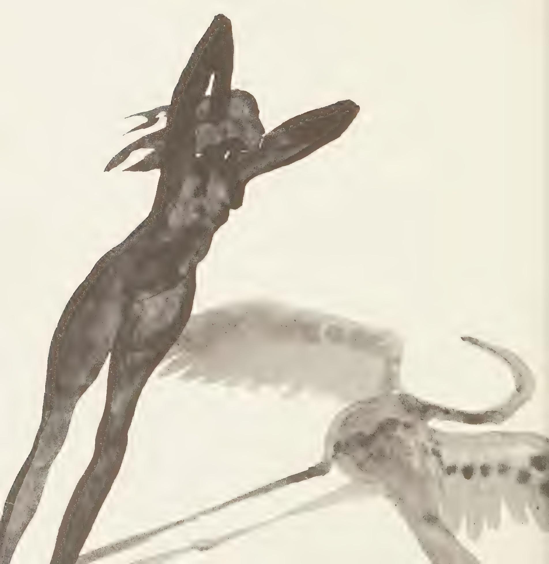 t-t-terry-tempest-williams-desert-quartet-8.jpg