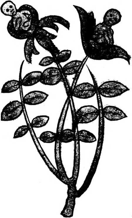 v-a-various-authors-backwoods-issue-1-30.jpg