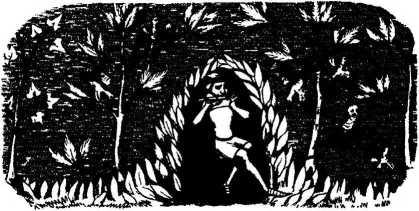 v-a-various-authors-backwoods-issue-1-34.jpg