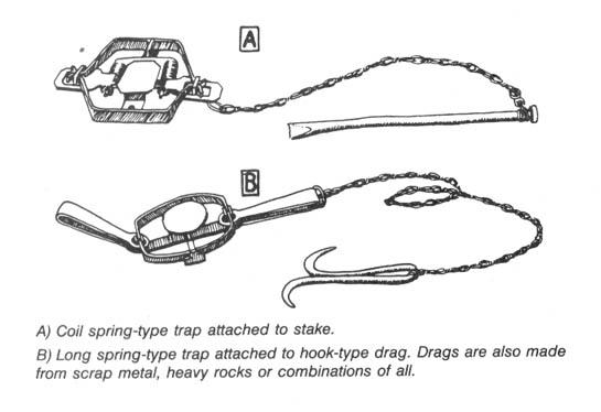 v-a-various-authors-ecodefense-a-field-guide-to-mo-44.jpg