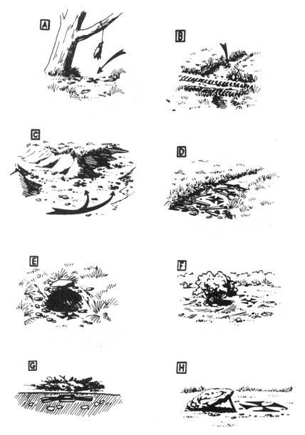 v-a-various-authors-ecodefense-a-field-guide-to-mo-45.jpg