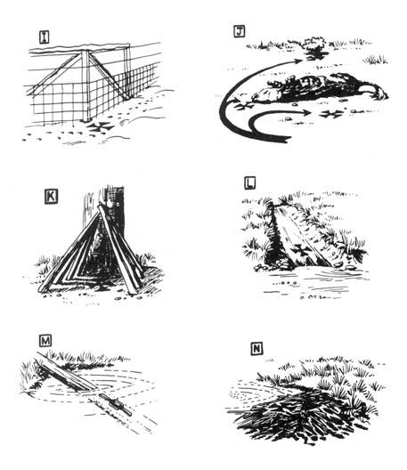 v-a-various-authors-ecodefense-a-field-guide-to-mo-46.jpg