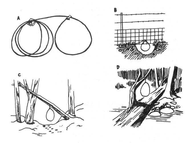 v-a-various-authors-ecodefense-a-field-guide-to-mo-51.jpg