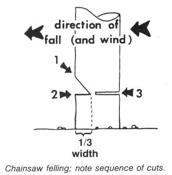 v-a-various-authors-ecodefense-a-field-guide-to-mo-56.jpg