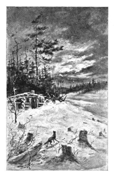 w-h-w-h-h-murray-how-john-norton-the-trapper-kept-5.jpg