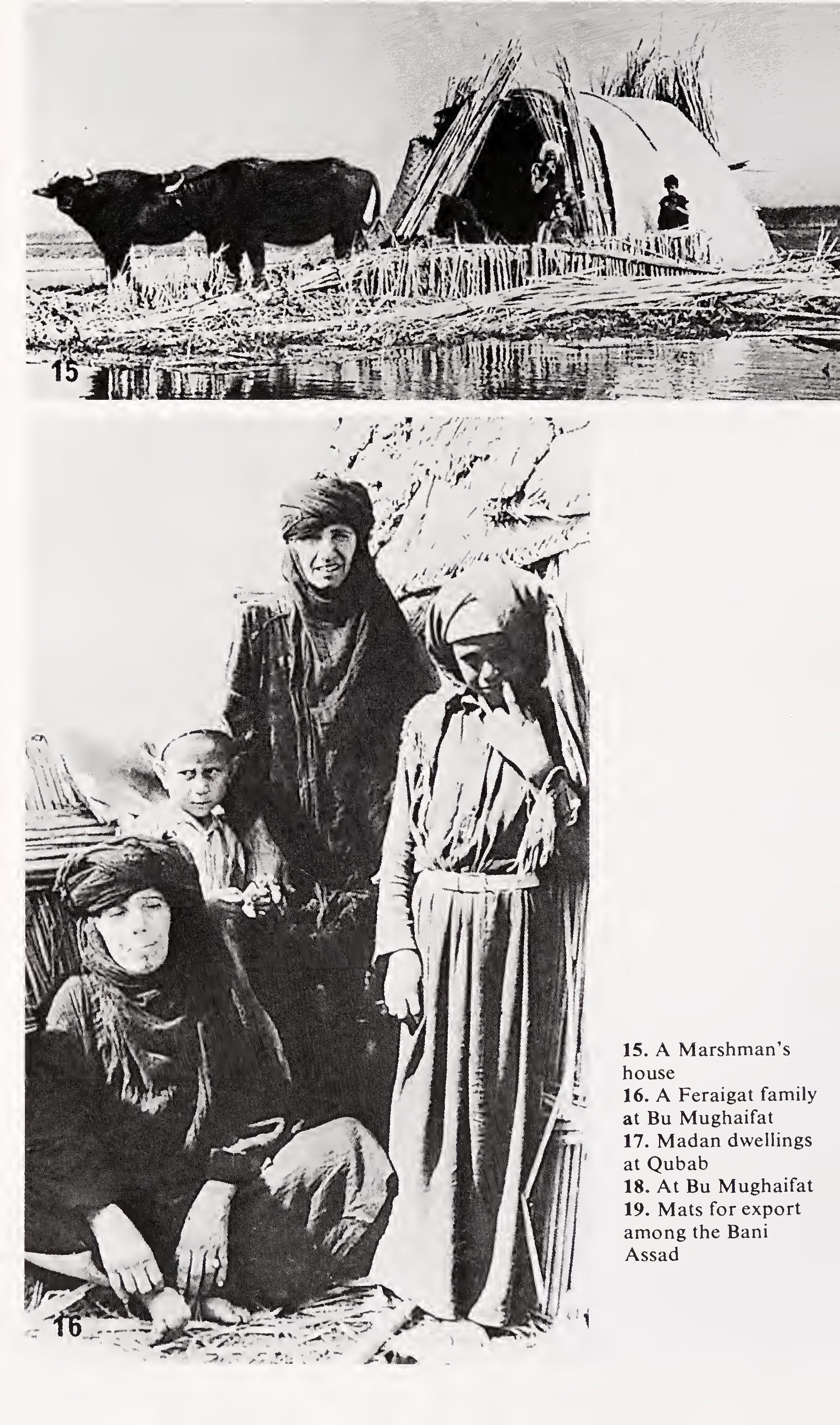 w-t-wilfred-thesiger-the-marsh-arabs-12.jpg