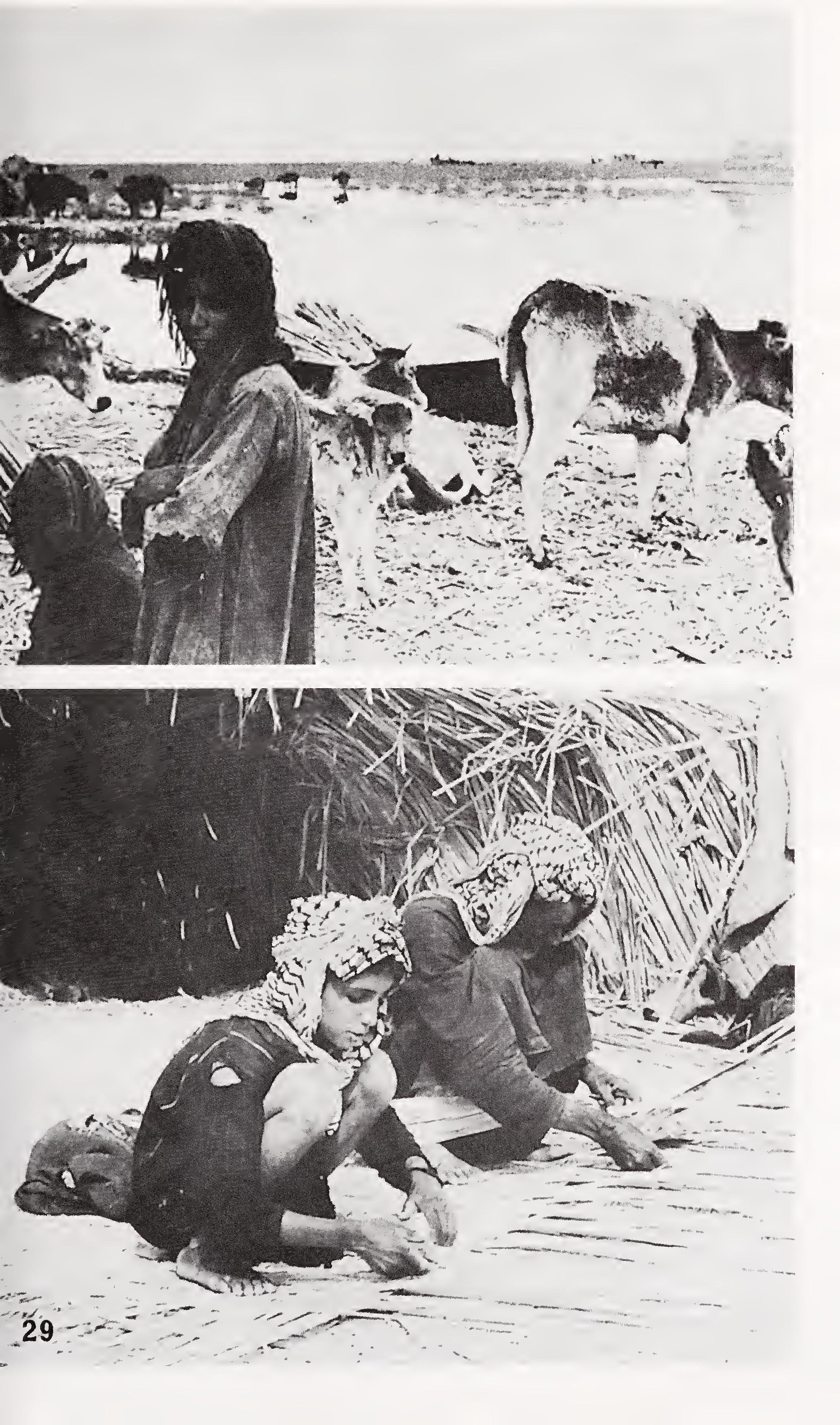 w-t-wilfred-thesiger-the-marsh-arabs-17.jpg