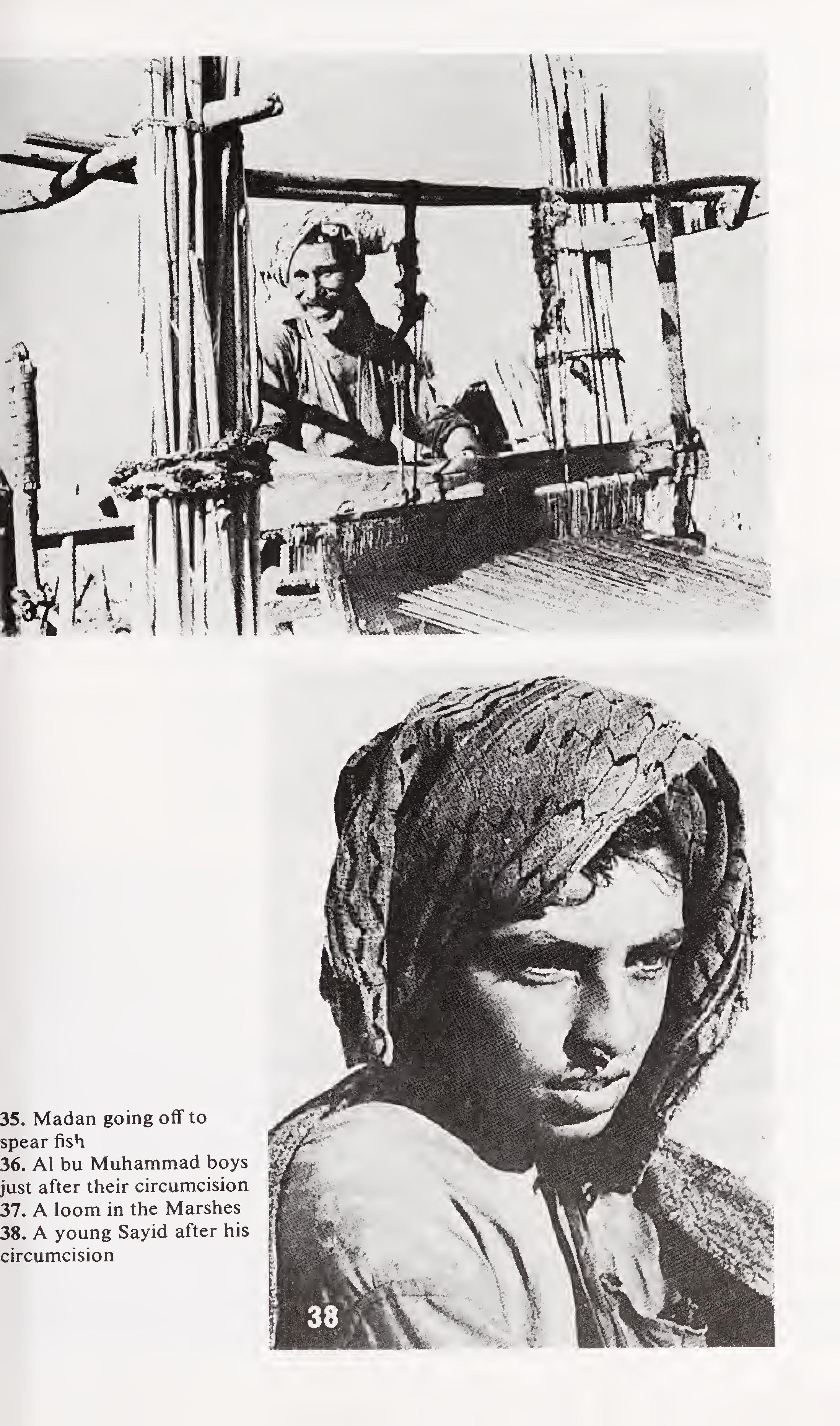 w-t-wilfred-thesiger-the-marsh-arabs-21.jpg