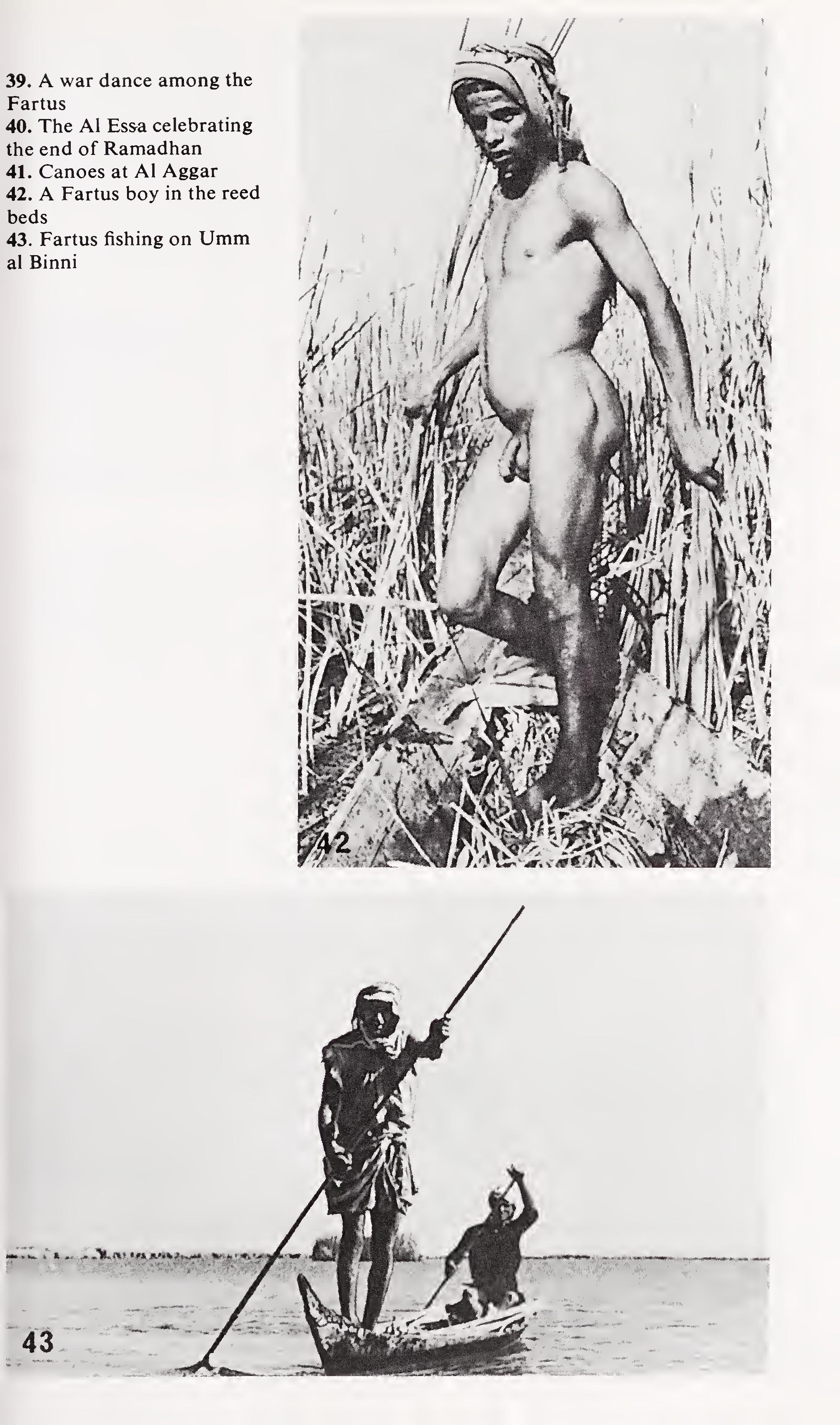 w-t-wilfred-thesiger-the-marsh-arabs-23.jpg