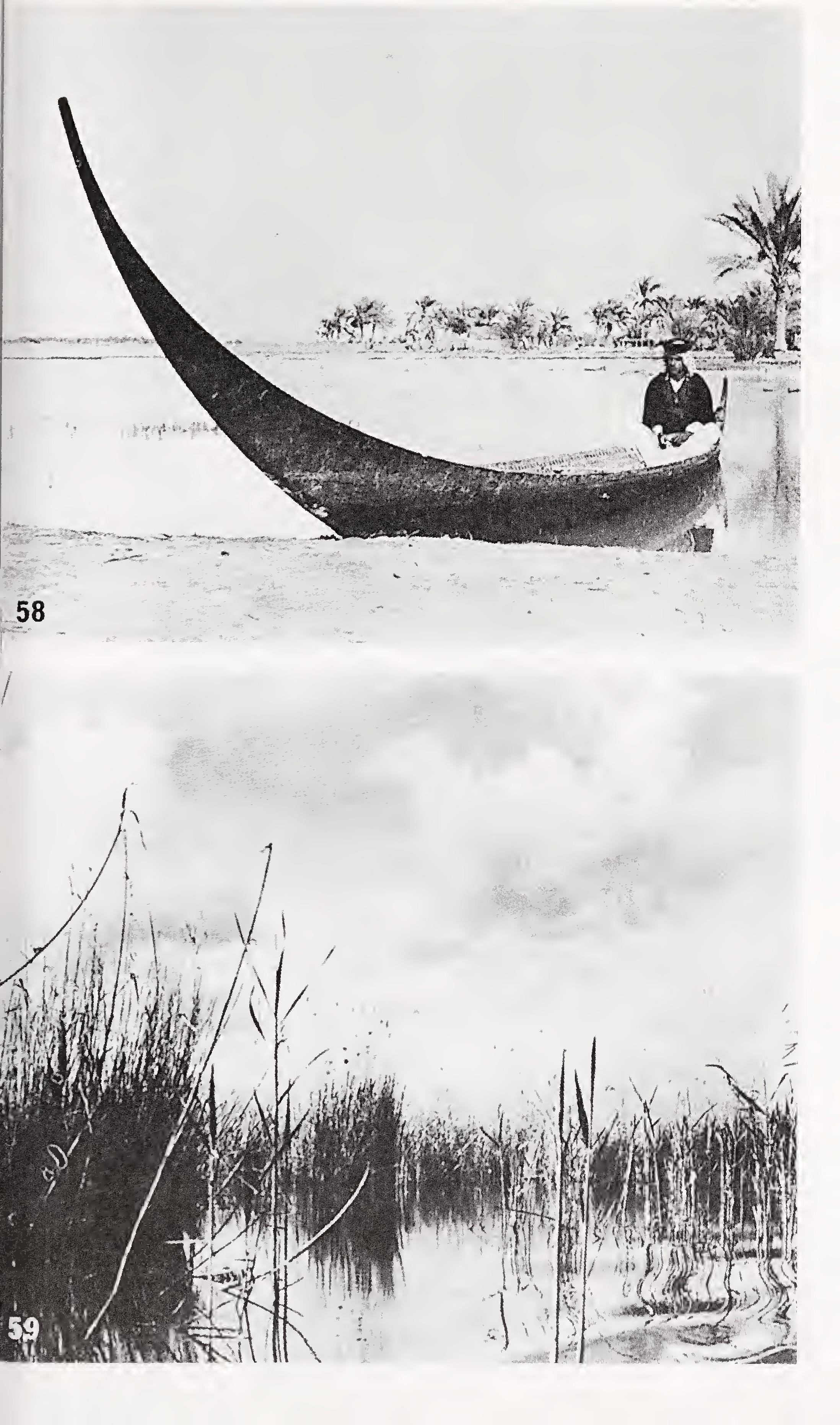 w-t-wilfred-thesiger-the-marsh-arabs-29.jpg
