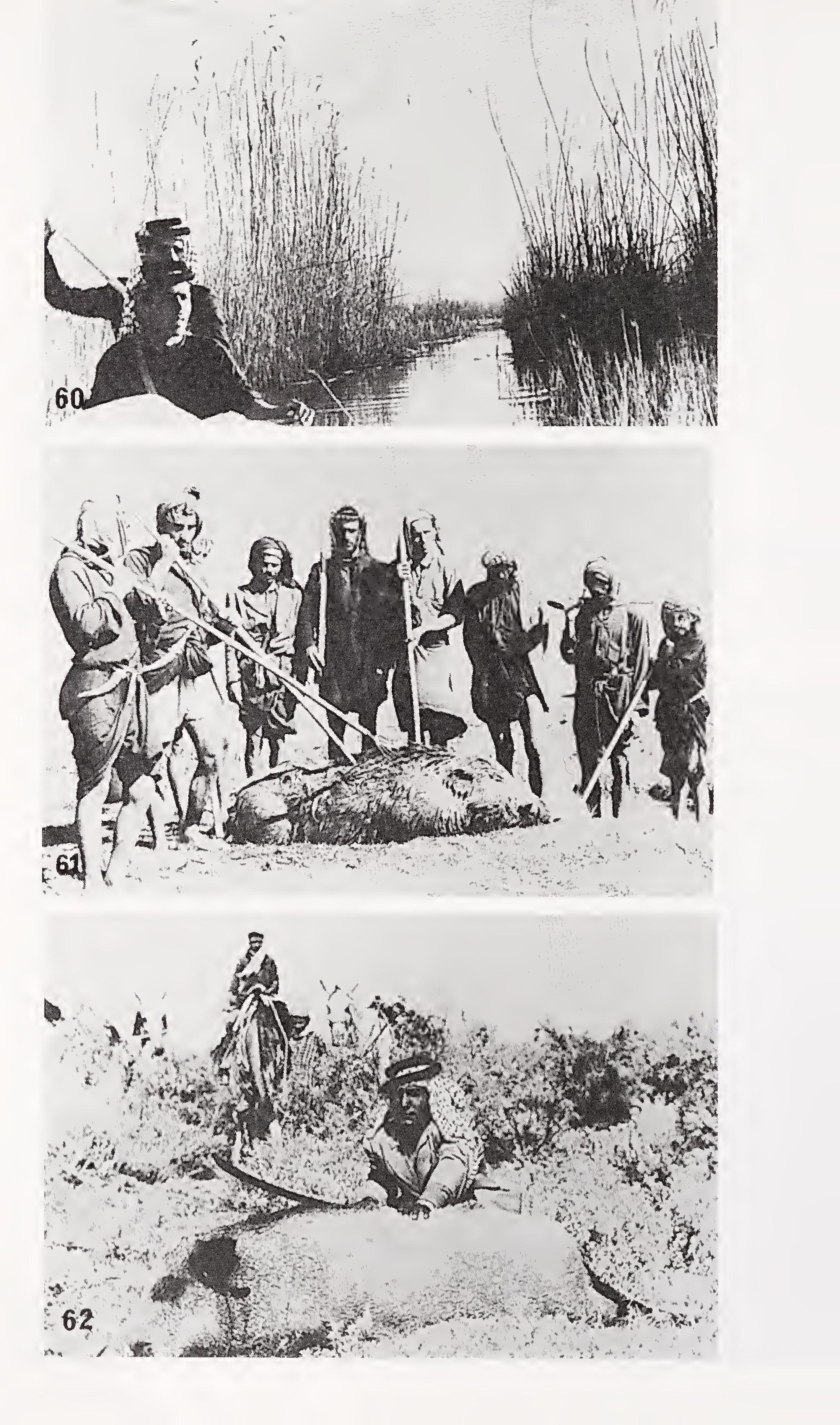 w-t-wilfred-thesiger-the-marsh-arabs-30.jpg